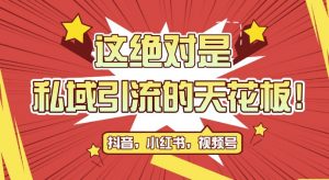 最新首发全平台引流玩法,公域引流私域玩法,轻松获客500+,附引流脚本,克隆截流自热玩法【揭秘】-互联网资源大全网