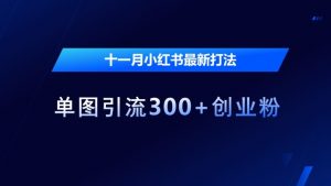 十一月小红书最新打法,单图引流300+创业粉【揭秘】-互联网资源大全网