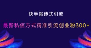 快手搬砖式引流，最新私信方式精准引流创业粉300+-互联网资源大全网