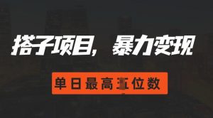 2024搭子玩法，0门槛，暴力变现，单日最高破四位数【揭秘】-第一资源库