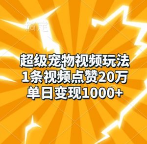 超级宠物视频玩法，1条视频点赞20万，单日变现1k-互联网资源大全网
