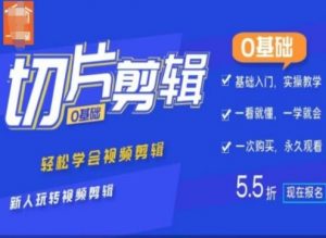 0基础IP切片剪辑,轻松学会视频剪辑,新人玩转视频剪辑-第一资源库