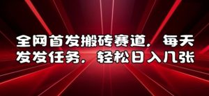 全网首发搬砖赛道，每天发发任务，轻松日入几张【揭秘】-互联网资源大全网