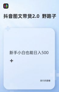 抖音图文带货野路子2.0玩法,暴力起号,单日收益多张,小白也可轻松上手【揭秘】-互联网资源大全网