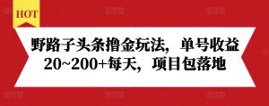 野路子头条撸金玩法，单号收益20~200+每天，项目包落地-互联网资源大全网