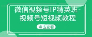 微信视频号IP精英班-视频号短视频教程-互联网资源大全网