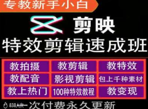剪映特效教程和运营变现教程，特效剪辑速成班，专教新手小白-互联网资源大全网