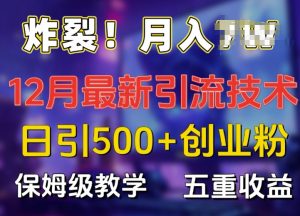 炸裂!揭秘12月最新日引流500+精准创业粉，多重收益保姆级教学-互联网资源大全网