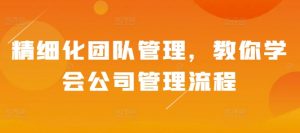 精细化团队管理,教你学会公司管理流程-互联网资源大全网