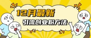 12月最新引流创业粉方法，方法非常简单，适用于多平台-互联网资源大全网
