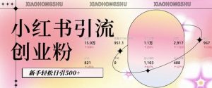 小红书私域引流无脑操作法:AI生成内容,粉丝自动转化,新手轻松日引500+创业粉-互联网资源大全网