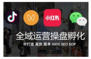 全域运营操盘(抖音+私域+小红书),IP打造高效简单-第一资源库