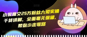 小说推文25万粉丝大佬实操干货讲解,全面毫无保留,帮你少走弯路-互联网资源大全网