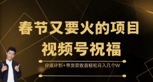 春节又要火的项目视频号祝福,分成计划+带货双收益,轻松月入几个W【揭秘】-第一资源库