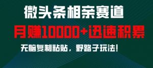 微头条相亲赛道，迅速积累，无脑复制粘贴，野路子玩法，月入1w-互联网资源大全网