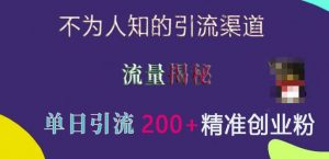 不为人知的引流渠道,流量揭秘,实测单日引流200+精准创业粉【揭秘】-互联网资源大全网