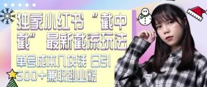 最新小红书截流玩法 独家截中截 单号成本几块钱 日引500+CY粉JZ粉-互联网资源大全网