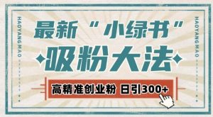 最新自动化“吸粉术”,小绿书激活私域流量,每日轻松吸引300+高质精准粉!-互联网资源大全网