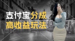 支付宝分成计划新玩法,利用交通事故视频,赚收益,轻松月入过W,操作简单【揭秘】-互联网资源大全网
