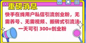 快手最新引流创业粉方法,无需养号、无需视频、搬砖式引流法【揭秘】-互联网资源大全网