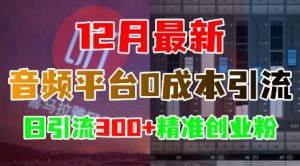12月最新:音频平台0成本引流,日引流300+精准创业粉-互联网资源大全网