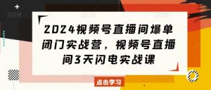 2024视频号直播间爆单闭门实战营，视频号直播间3天闪电实战课-互联网资源大全网