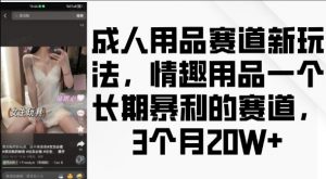 成人用品赛道新玩法，情趣用品一个长期暴利的赛道，3个月收益20个【揭秘】-互联网资源大全网