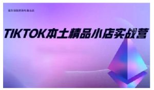 TikTok本土精品小店出海实战营,从入门到高阶,不止0-1!-互联网资源大全网
