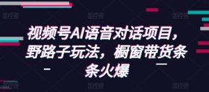 视频号AI语音对话项目，野路子玩法，橱窗带货条条火爆-互联网资源大全网