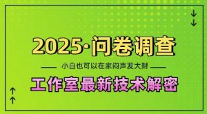 2025问卷调查最新工作室技术解密:一个人在家也可以闷声发大财,小白一天2张,可矩阵放大【揭秘】-互联网资源大全网