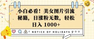 小白必看，美女图片引流秘籍，日涨粉无数，轻松日入几张【揭秘】-互联网资源大全网