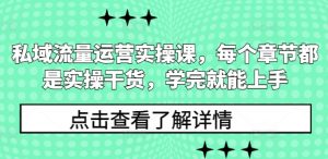 私域流量运营实操课,每个章节都是实操干货,学完就能上手-互联网资源大全网