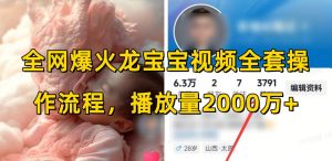 全网爆火龙宝宝视频全套操作流程,播放量2000万+-互联网资源大全网