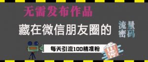 藏在微信朋友圈的流量密码,无需发布作品,单日引流100+精准创业粉【揭秘】-互联网资源大全网