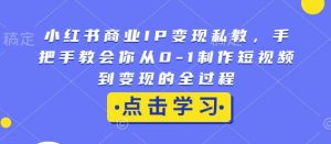 小红书商业IP变现私教,手把手教会你从0-1制作短视频到变现的全过程-互联网资源大全网