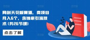网创天花板赛道,卖项目月入6个,含独家引流技术(共26节课)-互联网资源大全网