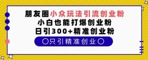 朋友圈小众玩法引流创业粉，小白也能打爆创业粉，日引300+精准创业粉【揭秘】-互联网资源大全网