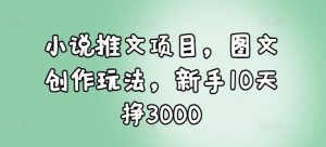 小说推文项目，图文创作玩法，新手10天挣3000-互联网资源大全网
