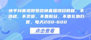 快手抖音视频号放映直播项目教程,不违规,不卖货,不靠粉丝,不靠礼物打赏,每天200-600-第一资源库