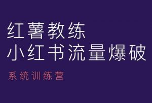 红薯教练-小红书内容运营课,小红书运营学习终点站-互联网资源大全网