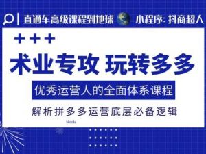 术业专攻玩转多多,优秀运营人的全面体系课程,解析拼多多运营底层必备逻辑-互联网资源大全网