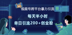 视频号跨平台暴力引流，每天半小时，单日引流200+精准创业粉-互联网资源大全网