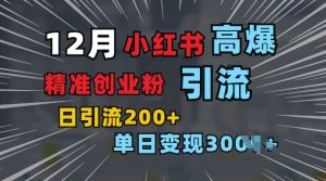 小红书一张图片“引爆”创业粉,单日+200+精准创业粉 可筛选付费意识创业粉【揭秘】-互联网资源大全网