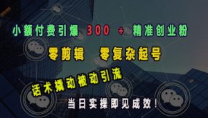 小额付费引爆 300 + 精准创业粉,零剪辑、零复杂起号,话术撬动被动引流,当日实操即见成效-第一资源库