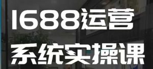 1688高阶运营系统实操课，快速掌握1688店铺运营的核心玩法-互联网资源大全网