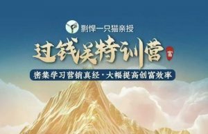 剽悍一只猫-过钱关特训营,学习营销真经 大幅度提高创富效率-互联网资源大全网