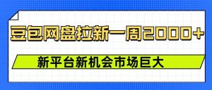 豆包网盘拉新,一周2k,新平台新机会-互联网资源大全网