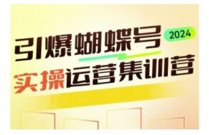 引爆蝴蝶号实操运营,助力你深度掌握蝴蝶号运营,实现高效实操,开启流量变现之路-互联网资源大全网