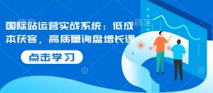 国际站运营实战系统:低成本获客,高质量询盘增长课-互联网资源大全网