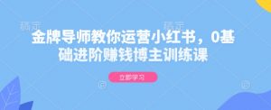 金牌导师教你运营小红书,0基础进阶赚钱博主训练课-第一资源库